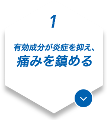 1.有効成分が炎症を抑え、痛みを鎮める