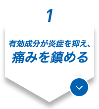 1.有効成分が炎症を抑え、痛みを鎮める